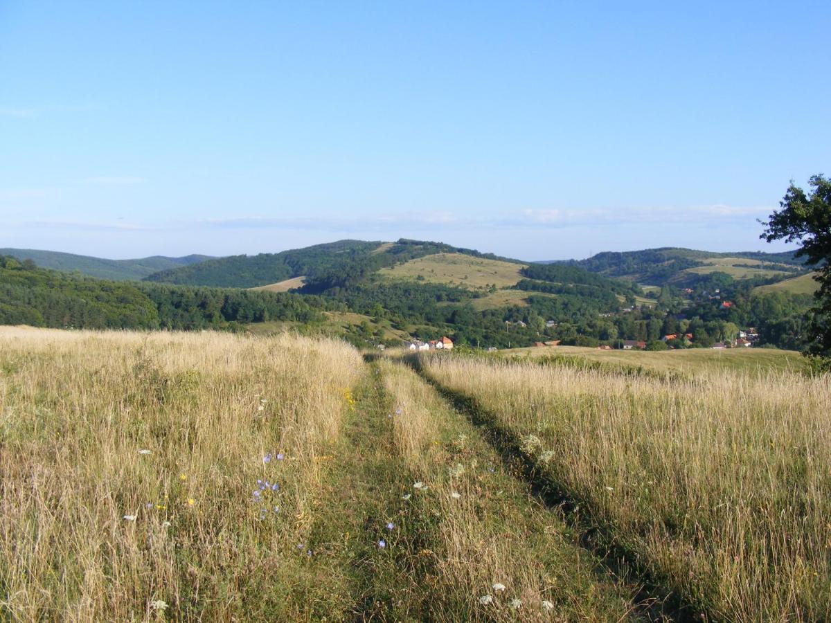 Falubíró Vendégháza Bekolce Exterior foto