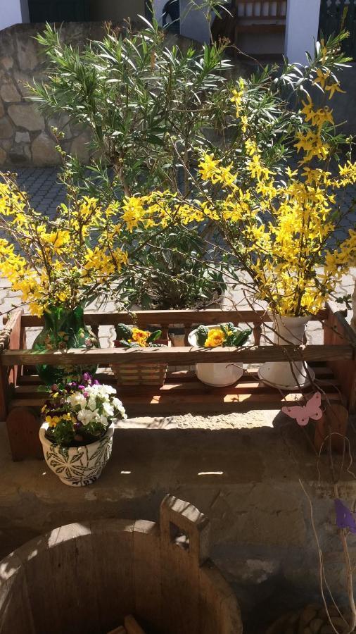 Falubíró Vendégháza Bekolce Exterior foto