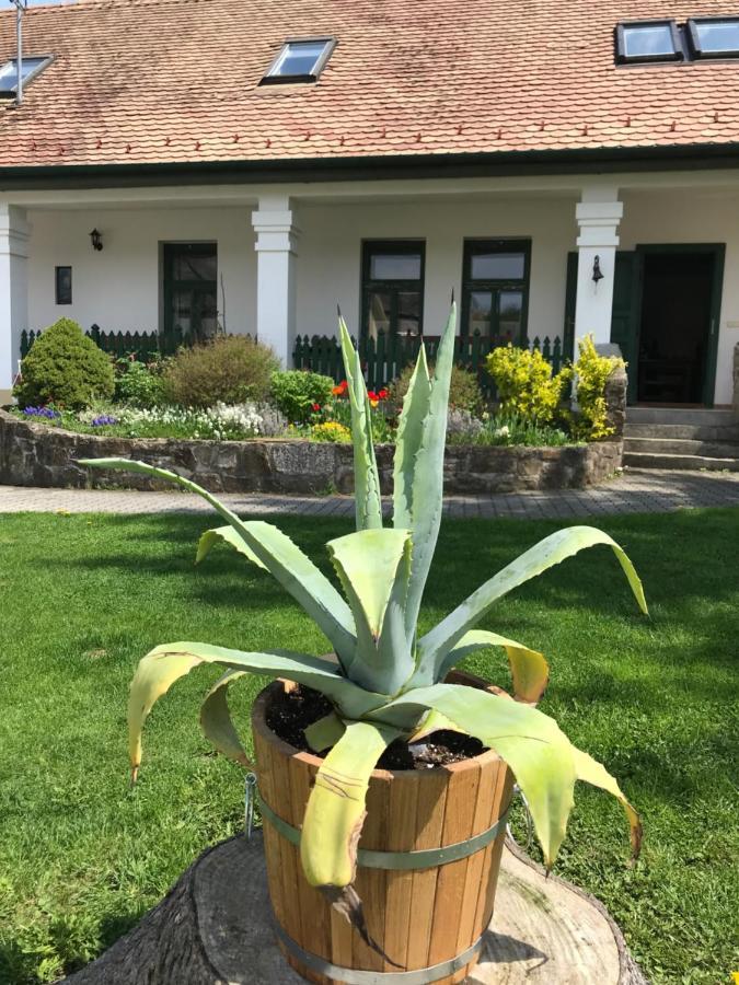 Falubíró Vendégháza Bekolce Exterior foto